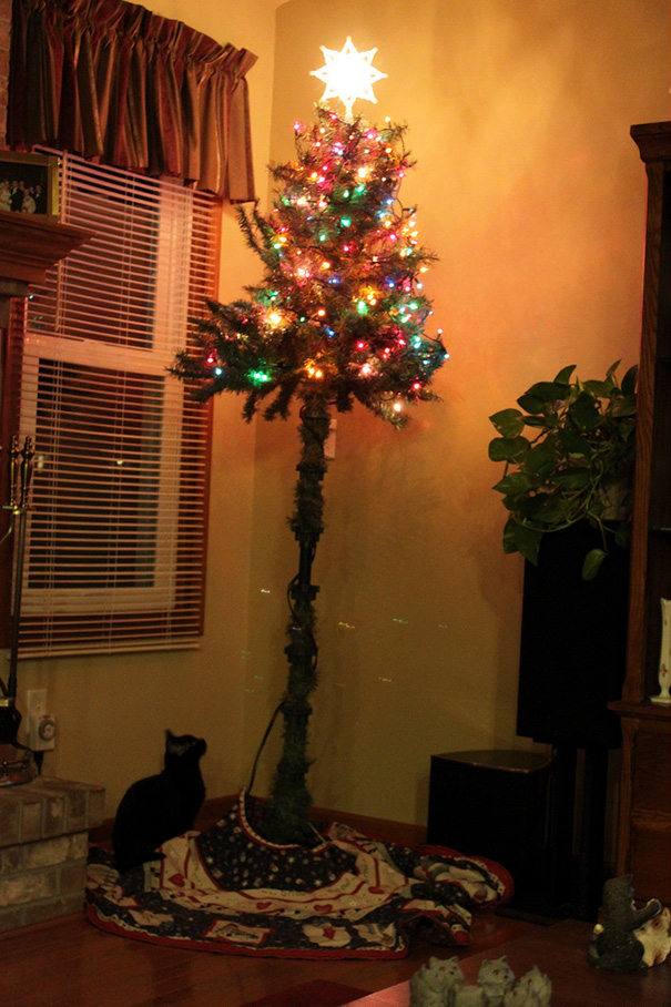Πως να προστατέψετε το Χριστουγεννιάτικο δέντρο από τα κατοικίδιά σας - Εικόνα 40