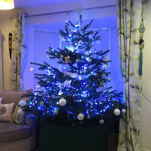 Πως να προστατέψετε το Χριστουγεννιάτικο δέντρο από τα κατοικίδιά σας - Εικόνα 46