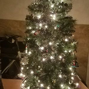 Πως να προστατέψετε το Χριστουγεννιάτικο δέντρο από τα κατοικίδιά σας - Εικόνα 47