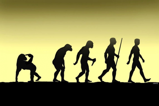 20 Σκίτσα που Σατυρίζουν την Ανθρώπινη Εξέλιξη - Εικόνα 5