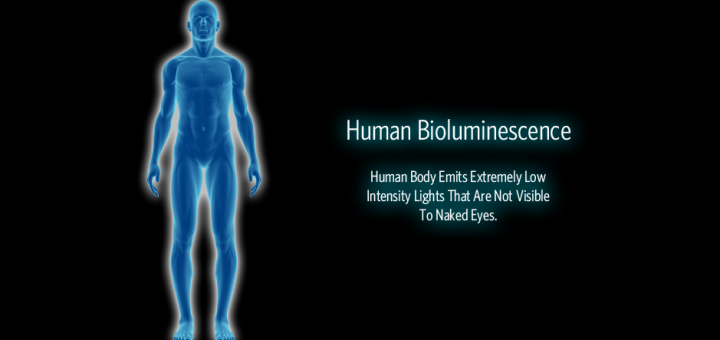 20 γεγονότα για το ανθρώπινο σώμα που ευχόμαστε να μην είχαμε μάθει ποτέ - Εικόνα 8