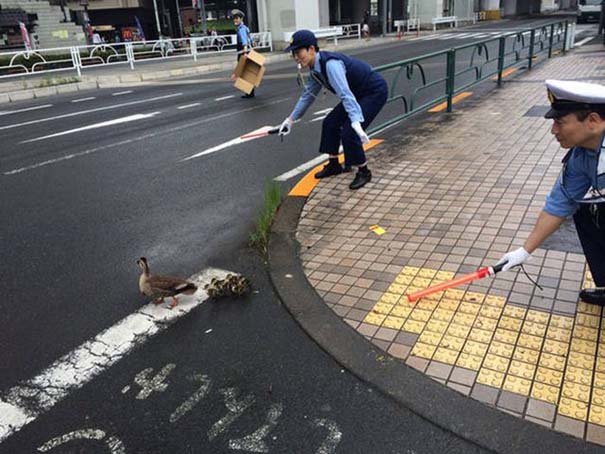 Κάτι παράξενο τρέχει στην Ιαπωνία και ζητάμε εξηγήσεις - Εικόνα 7