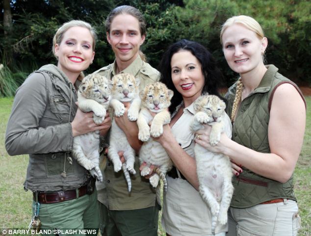 Ένα λευκό λιοντάρι άφησε έγκυο μια κάτασπρη τίγρη. Τα μωρά τους είναι τα τελευταία του είδους τους. - Εικόνα 6