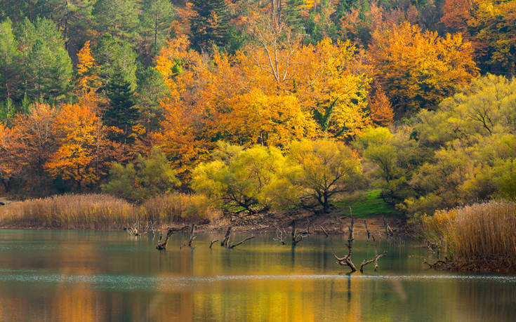 Εκπληκτικό φθινοπωρινό σκηνικό στη λίμνη Τσιβλού - Εικόνα 2