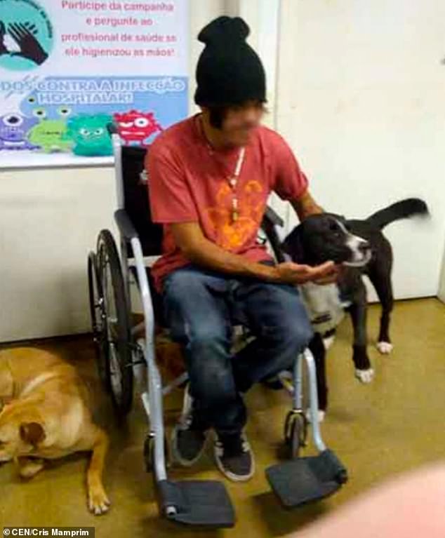 Σκύλοι περιμένουν τον άστεγο ιδιοκτήτη τους έξω από την πόρτα νοσοκομείου που πήγε για εξετάσεις - Εικόνα 2