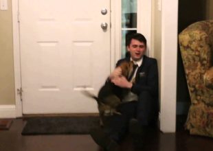 Επέστρεψε μετά απο 2 χρόνια δείτε όμως την αντίδραση του σκύλου! (Βίντεο)