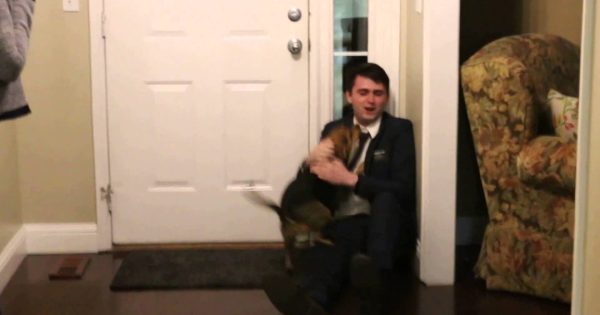 Επέστρεψε μετά απο 2 χρόνια δείτε όμως την αντίδραση του σκύλου! (Βίντεο)