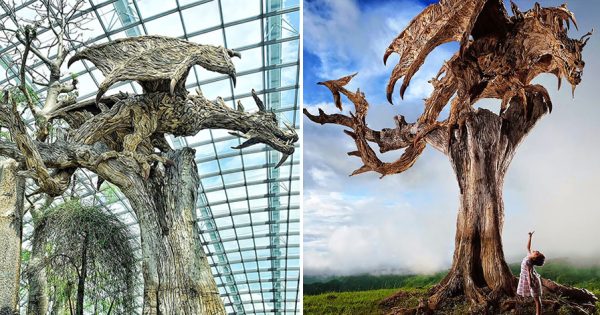 Αυτός ο γλύπτης δημιουργεί ξύλινους δράκους και ζώα που φαίνονται από έναν άλλον κόσμο.