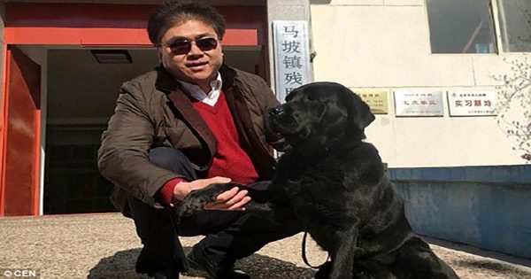 Απαγωγείς σκύλου, τον επέστρεψαν στον τυφλό ιδιοκτήτη του μετανιωμένοι