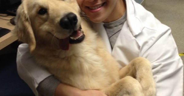 19 φωτογραφίες που αποδεικνύουν ότι ο κτηνίατρος είναι η καλύτερη δουλειά στον κόσμο!