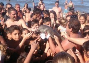 Ήθελαν να βγάλουν selfies με ένα μικρό δελφίνι και τελικά το σκότωσαν