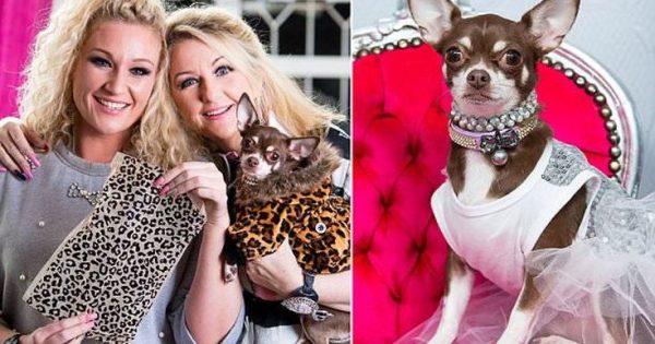 Έχει εμμονή με το σκύλο της και ξοδεύει 40.000 ευρώ για τα αξεσουάρ του
