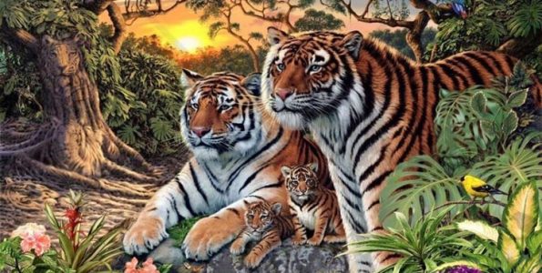 Μπορείτε να βρείτε όλες τις τίγρεις στην εικόνα;