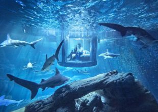 Υποβρύχιο δωμάτιο για διαμονή… δίπλα σε καρχαρίες!