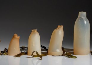 Μπουκάλια από φύκια - Βιοδιασπώνται μόλις αδειάσουν