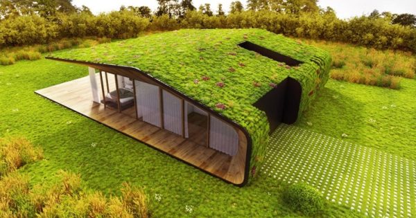 Σπίτια με πράσινες οροφές