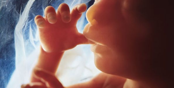10 Φανταστικές εικόνες που δείχνουν τα στάδια ανάπτυξης ενός εμβρύου