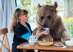Ζευγάρι απο τη Ρωσία έχει ως κατοικίδιο μια γιγάντια αρκούδα!