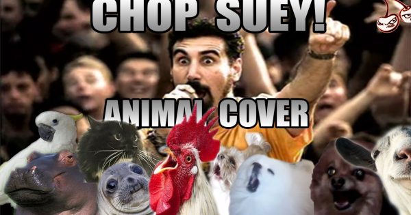 Ξεκαρδιστική διασκευή του Chop Suey των System Of A Down με φωνές ζώων