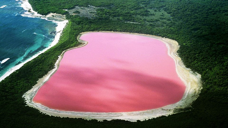 Η ροζ λίμνη στην Αυστραλία που μοιάζει βγαλμένη από τα παραμύθια!