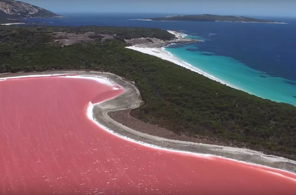 Η ροζ λίμνη στην Αυστραλία που μοιάζει βγαλμένη από τα παραμύθια!
