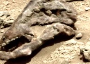 Βρήκαν κεφάλι... δεινόσαυρου στον Αρη;