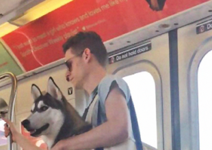 Τα ζώα απαγορεύονται στο μετρό της Νέας Υόρκης αλλά κάποιοι βρήκαν τη λύση