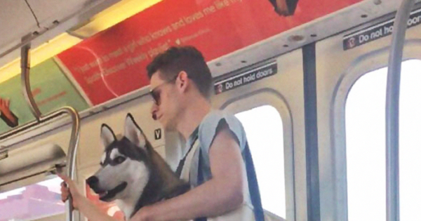 Τα ζώα απαγορεύονται στο μετρό της Νέας Υόρκης αλλά κάποιοι βρήκαν τη λύση