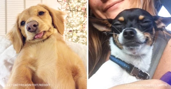 Οι πιο επιτυχημένες σκυλο-selfies που έχουμε δει!
