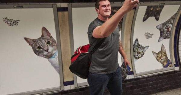 Το μετρό του Λονδίνου γέμισε γάτες