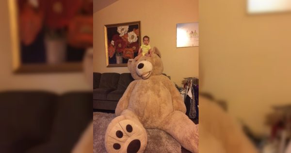 Ο παππούς της μικρής της έφερε δώρο το μεγαλύτερο αρκούδι