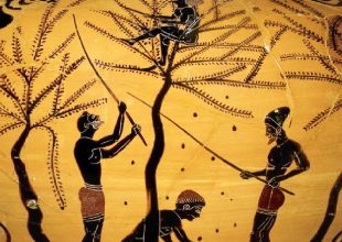 Πώς έφτιαχναν οι αρχαίοι Έλληνες τις ελιές τους!