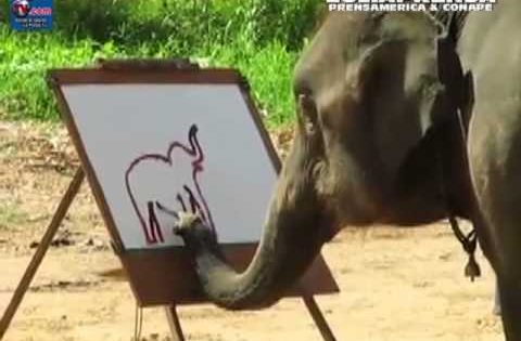 Το ελεφαντάκι που ζωγραφίζει!!
