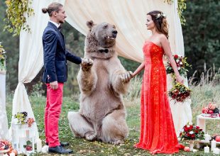 Ζευγάρι από την Ρωσία επέλεξε για κουμπάρο τους μια αρκούδα.