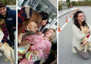 Στην Ασπασία, ο πρώτος σκύλος-βοηθός για άτομα με αναπηρία
