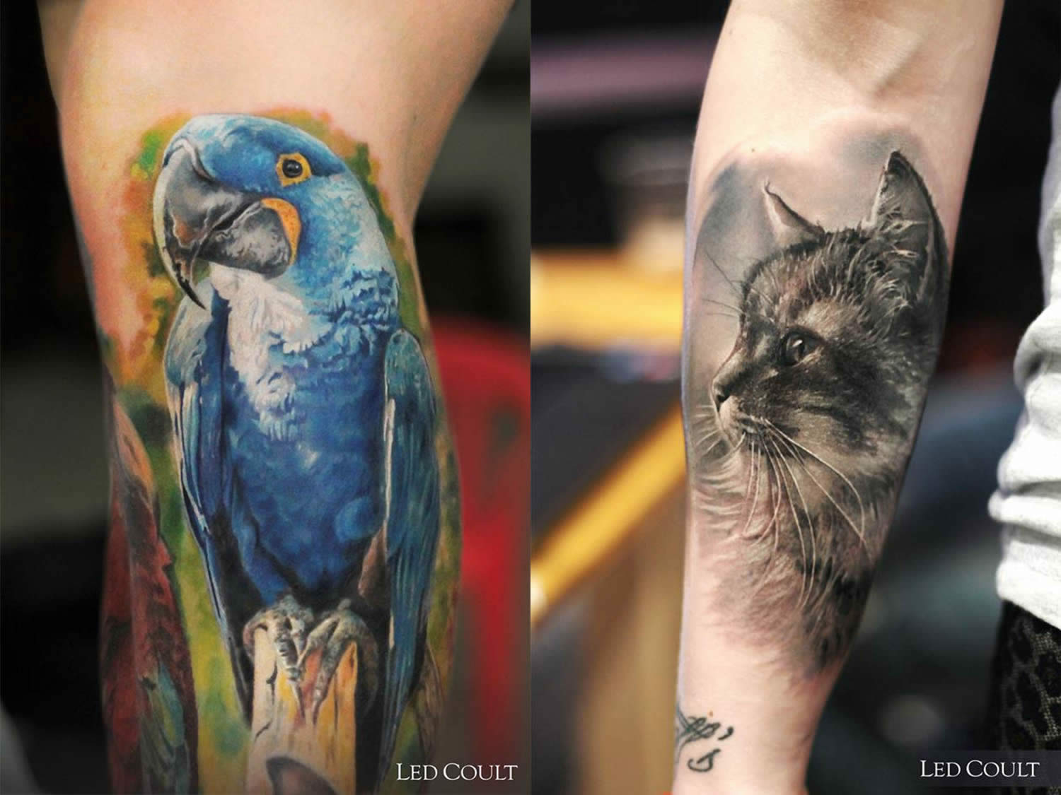 20 Διαφορετικά Tattoos για αυτούς που ΛΑΤΡΕΥΟΥΝ τα ζωάκια τους