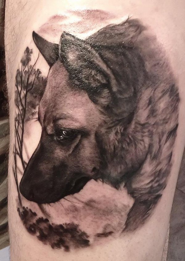 20+3 Tattoo για όσους αγαπούν τα ζώα