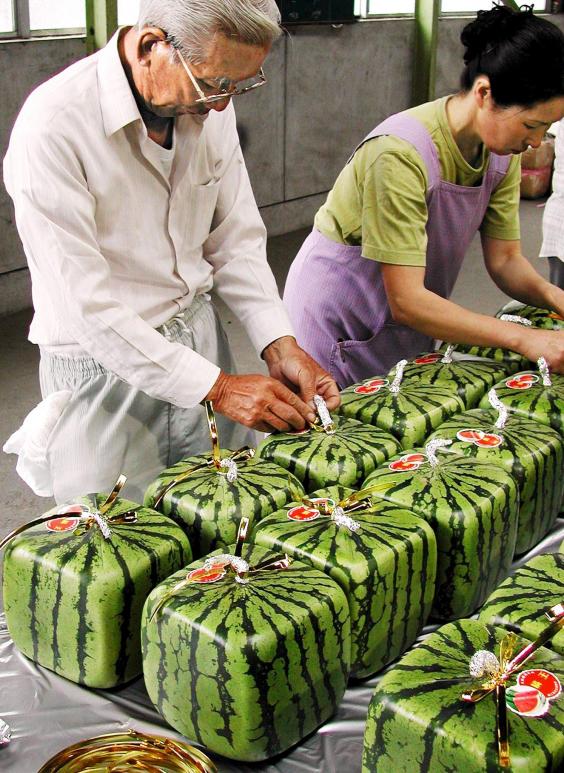 Ιαπωνία: Πουλάνε φρούτα με τιμή 25.000 ευρώ!