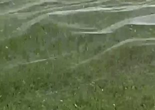 Πρώτα η επιβίωση: Αράχνες έφτιαξαν ιστό 30 μέτρων στον αέρα για να γλιτώσουν από τις πλημμύρες