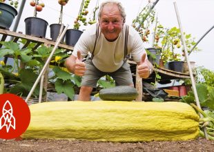 Τα λαχανικά αυτού του κηπουρού, σπάνε κάθε ρεκόρ μεγέθους!